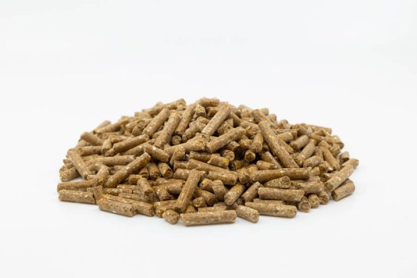 EL04 Ergaenzer_Pellet-2