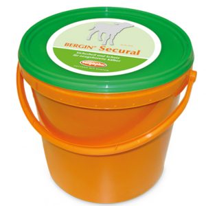 Bergin Secural