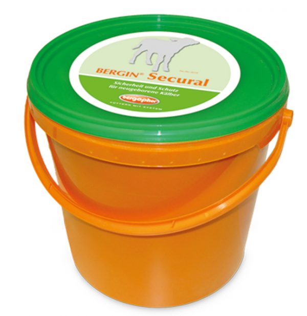 Bergin Secural